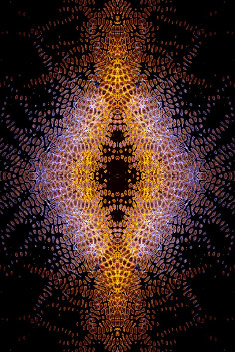 A vibrant symmetrical fractal pattern with intricate geometric shapes in orange and blue.